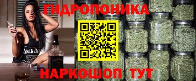 прущие крисы Краснодар