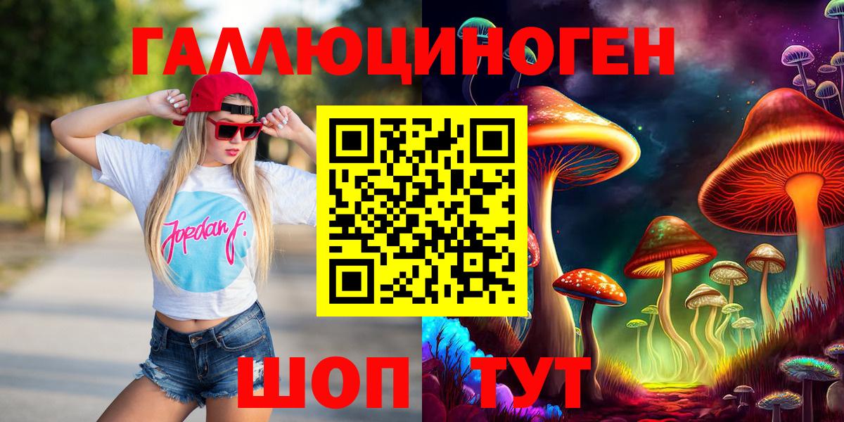 Котлас  Псилоцибиновые грибы мухоморы  Вход с VPN 